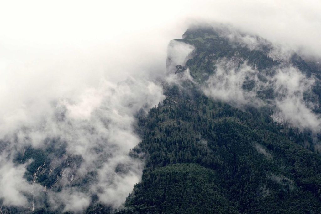 Polda NTT Tuntaskan Kasus Investasi Bodong dengan Pendekatan Restorative Justice