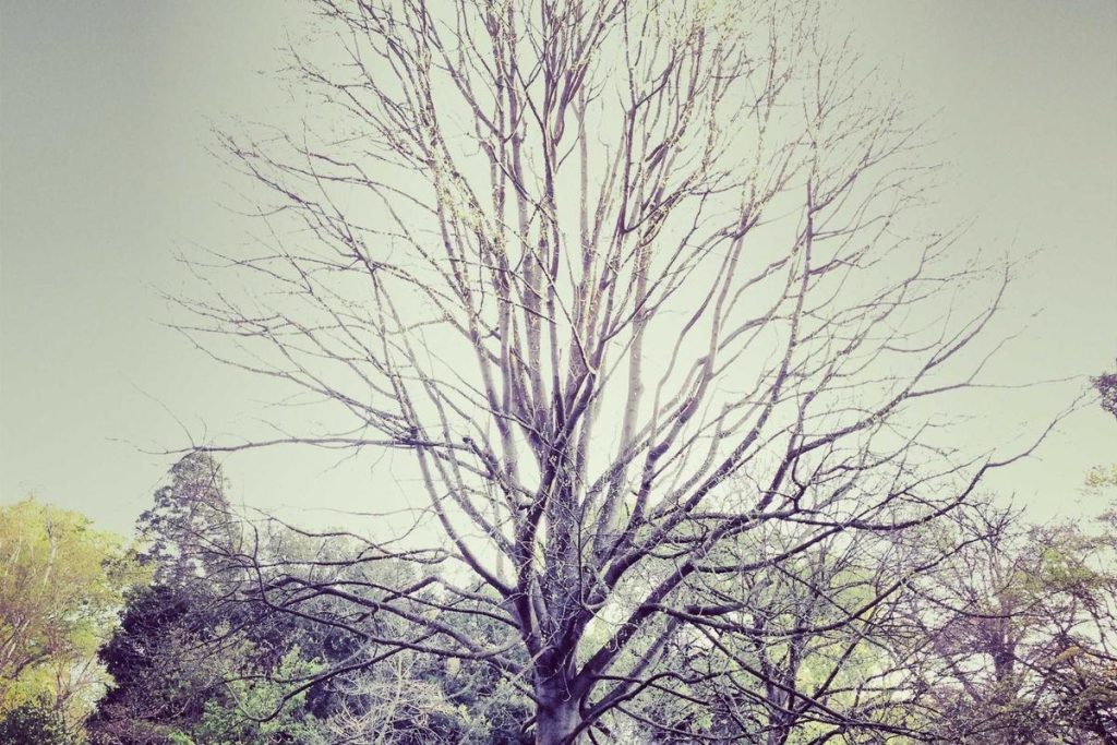 Manajer Investasi yang Diakuisisi Danantara Akan Jadi Holding