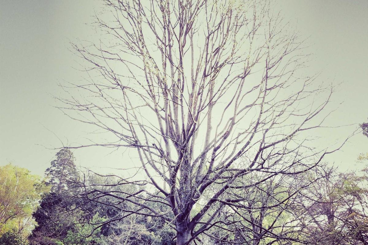 Manajer Investasi yang Diakuisisi Danantara Akan Jadi Holding